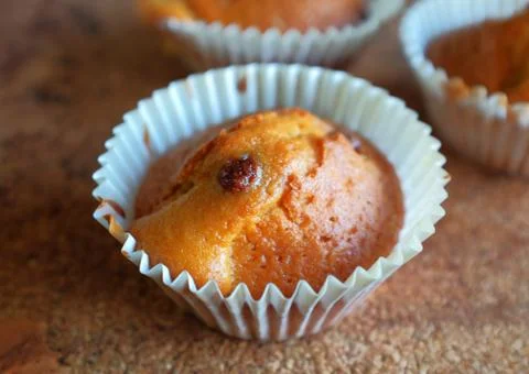 Chocolate Muffin Stock Photos