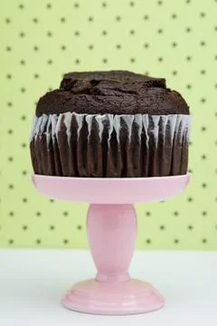 Chocolate Muffin Фото