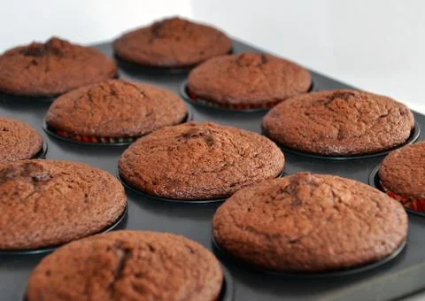 Chocolate muffins Stock Photos
