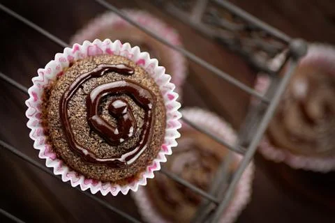 Chocolate muffins Stock Photos