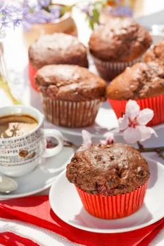 Chocolate muffins Stock Photos