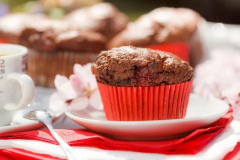 Chocolate muffins Stock Photos