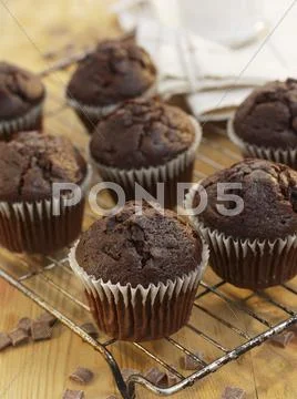 Chocolate Muffins On A Wire Rack