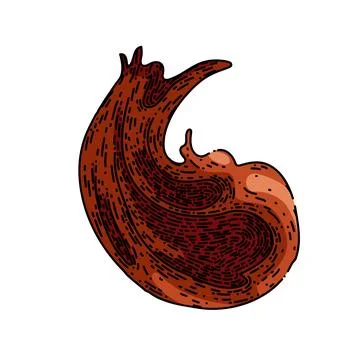 Chocolate paste spread sketch hand drawn vector イラスト素材
