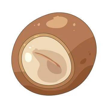Chocolate peanut Stock Illustration
