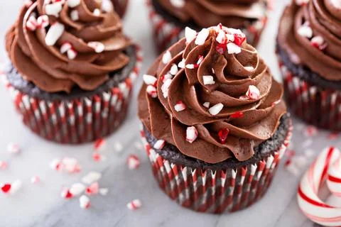 Chocolate peppermint cupcakes with candy cane Stock Photos