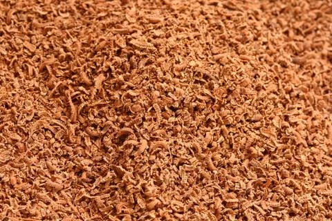 Chocolate Foto stock