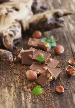 Chocolate Stock Photos