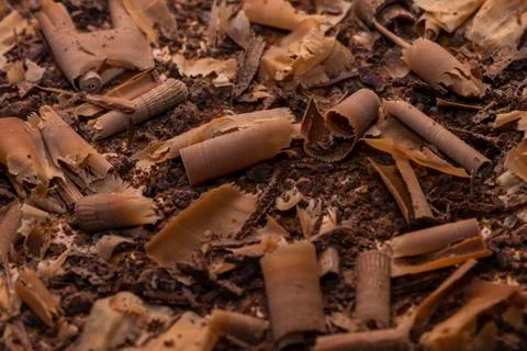 Chocolate Stock Photos