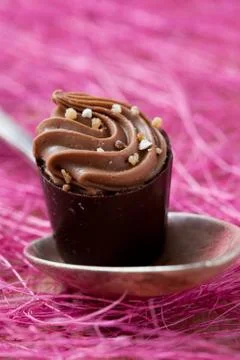 Chocolate praline Foto stock