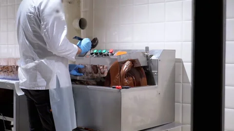 Chocolate Production Process Stock Footage 293175024