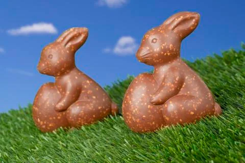 Chocolate rabbit lying on the grass Stock Photos