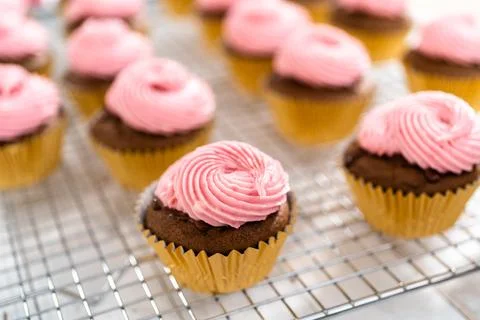 Chocolate raspberry cupcakes Stock Photos