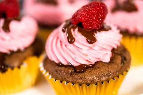 Chocolate raspberry cupcakes Stock Photos