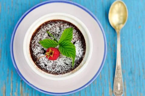 Chocolate raspberry pudding Stock Photos