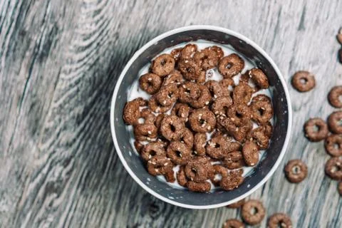 Chocolate rings with milk. Stock Photos