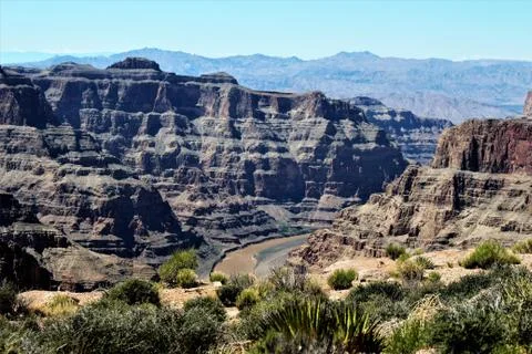 Chocolate River Fotos Stock