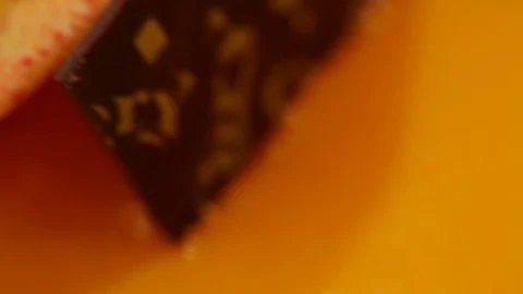 Chocolate rose decoration Stock Footage 77053737