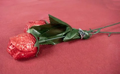 Chocolate roses with ring Stock Photos