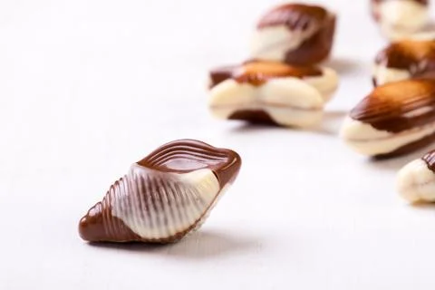 Chocolate seashell on white table Stock Photos