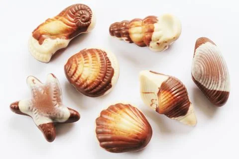 Chocolate seashells background Stock Photos