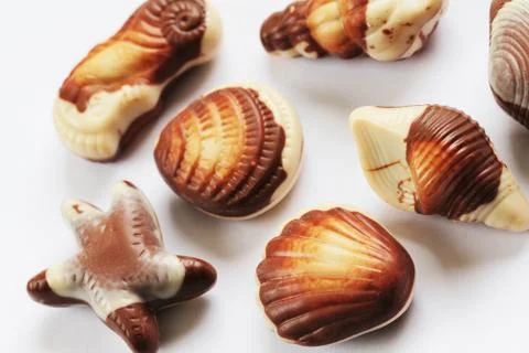 Chocolate seashells background Stock Photos
