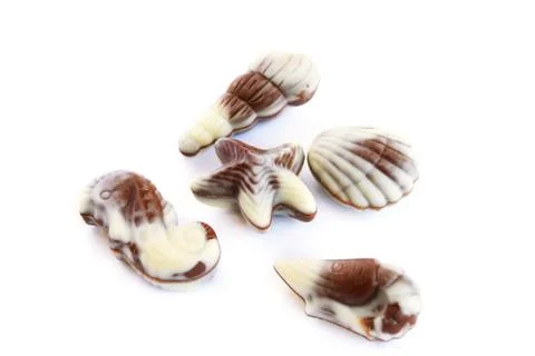 Chocolate seashells Stock Photos
