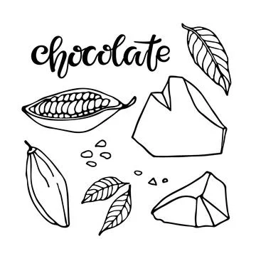Chocolate set. Vector Hand drawn Cocoa beans, leaves sketch, lump chocolate and Illustrazione stock