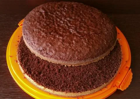 Chocolate sponge cake Stock Photos