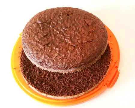 Chocolate sponge cake Stock Photos