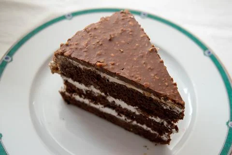 Chocolate sponge cake slice close-up. Side and top view of a chocolate cake 스톡 사진