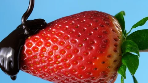 Chocolate on a strawberry, blue background ready for keying Stock Footage 86548634