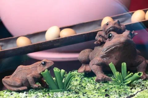 Chocolate toads Stock Photos