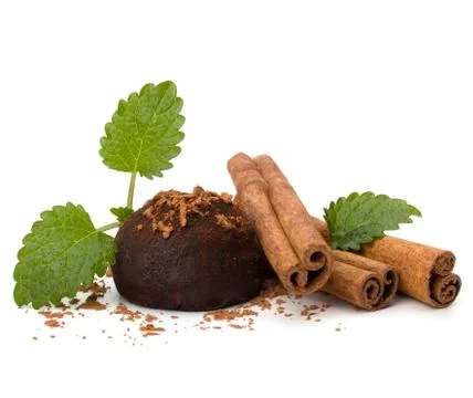 Chocolate truffle candy Stock Photos