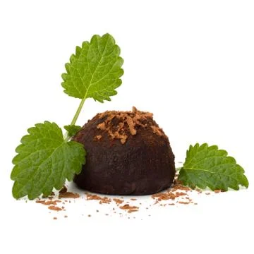 Chocolate truffle candy Stock Photos