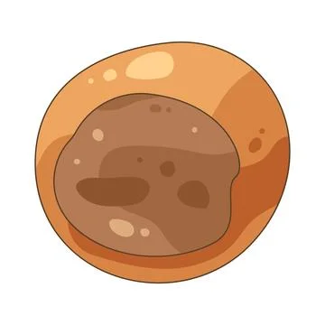 Chocolate truffle イラスト素材