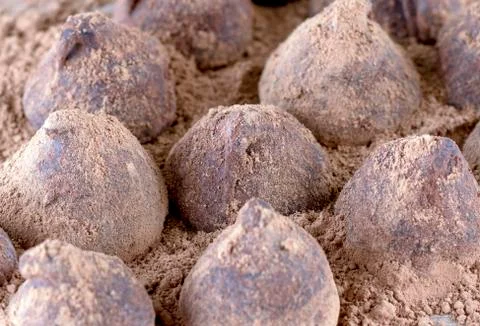Chocolate Truffle. Stock Photos