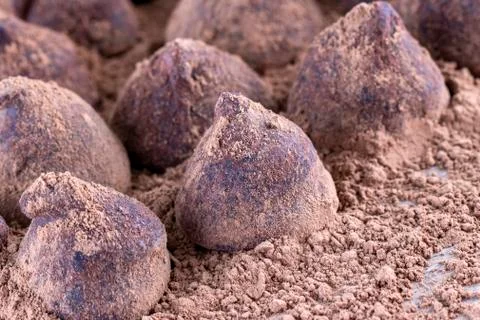 Chocolate Truffle. Stock Photos