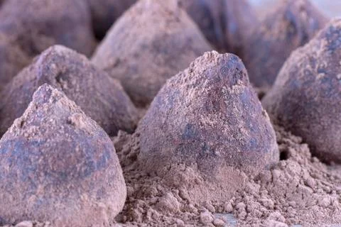 Chocolate Truffle. Stock Photos