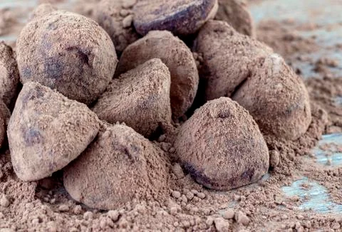 Chocolate Truffle. Stock Photos