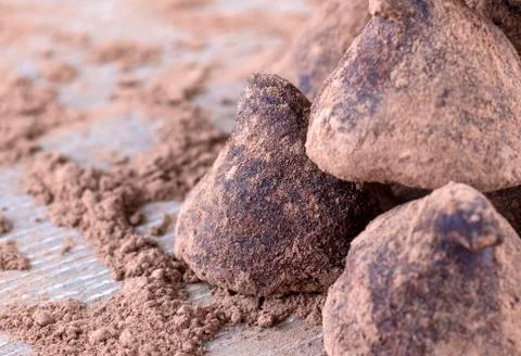 Chocolate Truffle. Stock Photos
