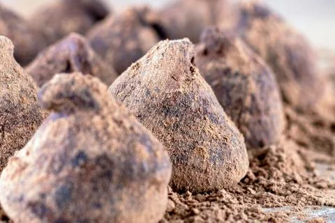Chocolate Truffle. Stock Photos
