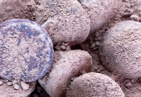 Chocolate Truffle. Stock Photos