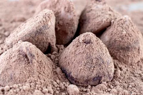 Chocolate Truffle. Stock Photos