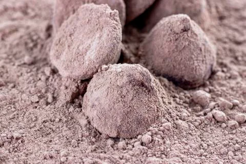 Chocolate Truffle. Stock Photos