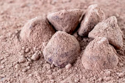 Chocolate Truffle. Stock Photos