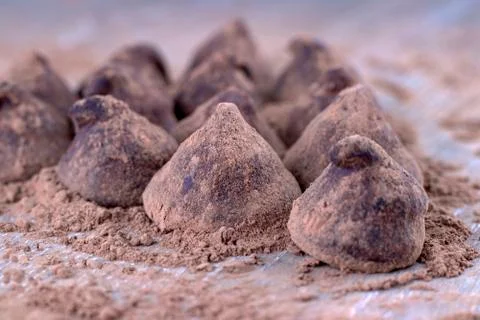 Chocolate Truffle. Stock Photos