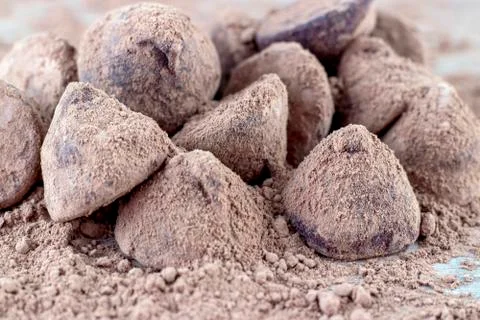 Chocolate Truffle. Stock Photos