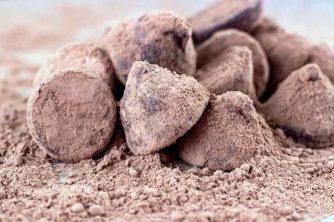 Chocolate Truffle. Stock Photos