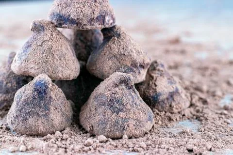 Chocolate Truffle. Stock Photos